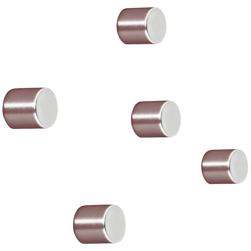 Sigel magneten - 10x10mm - rond - C5 sterk - zilver - 5 stuks - SI-BA700