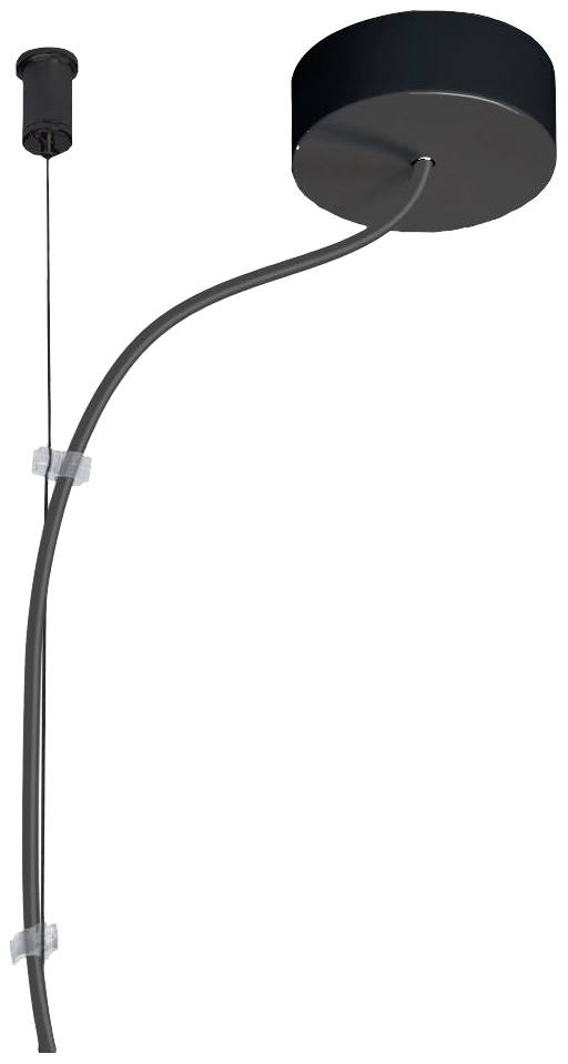 Zwarte, ronde hanglamp met gebogen kabel en plafondbevestiging, modern design.