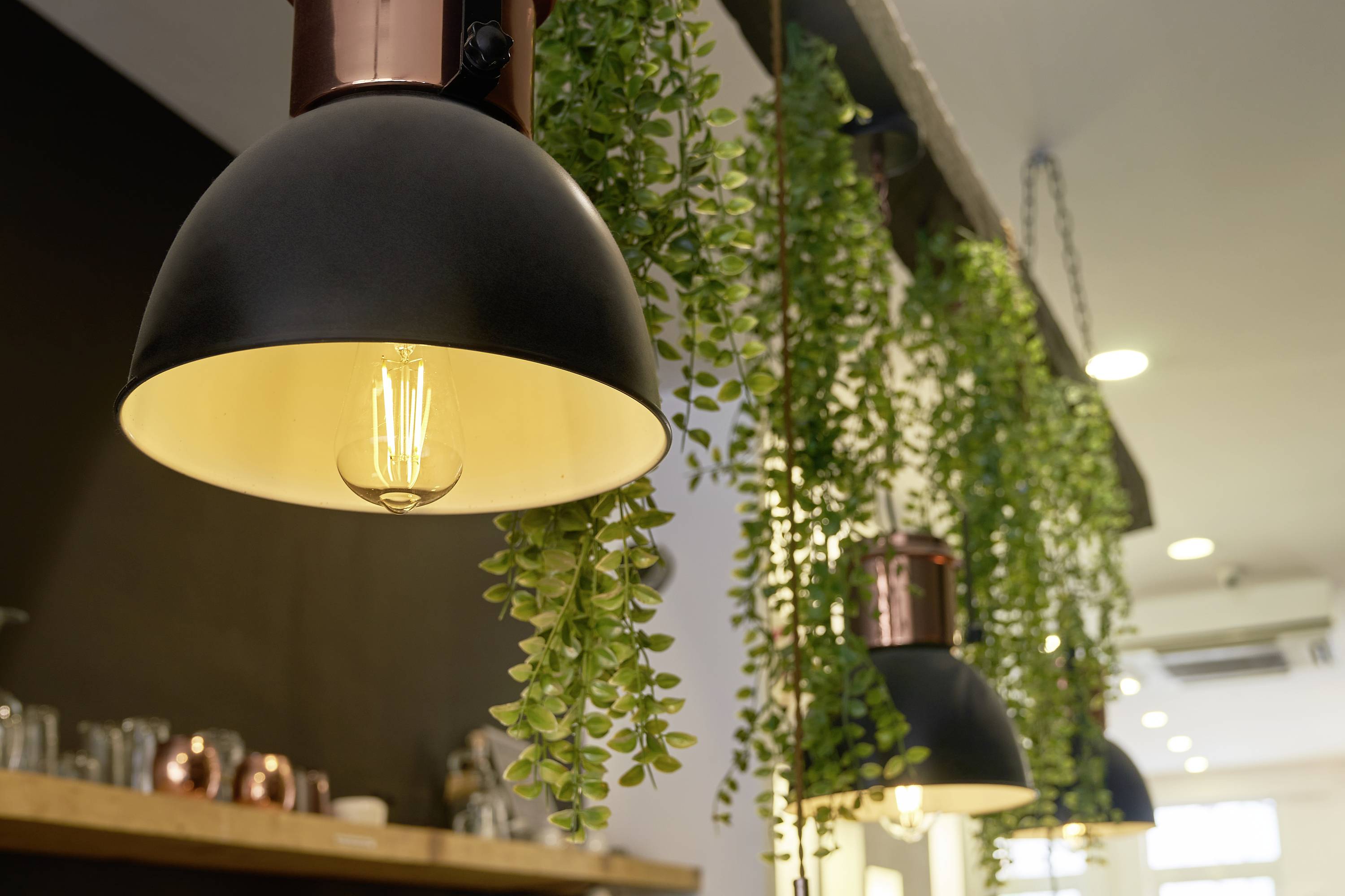 Hangende lampen met gloeilampen en groene plantranken in een modern ingerichte ruimte.