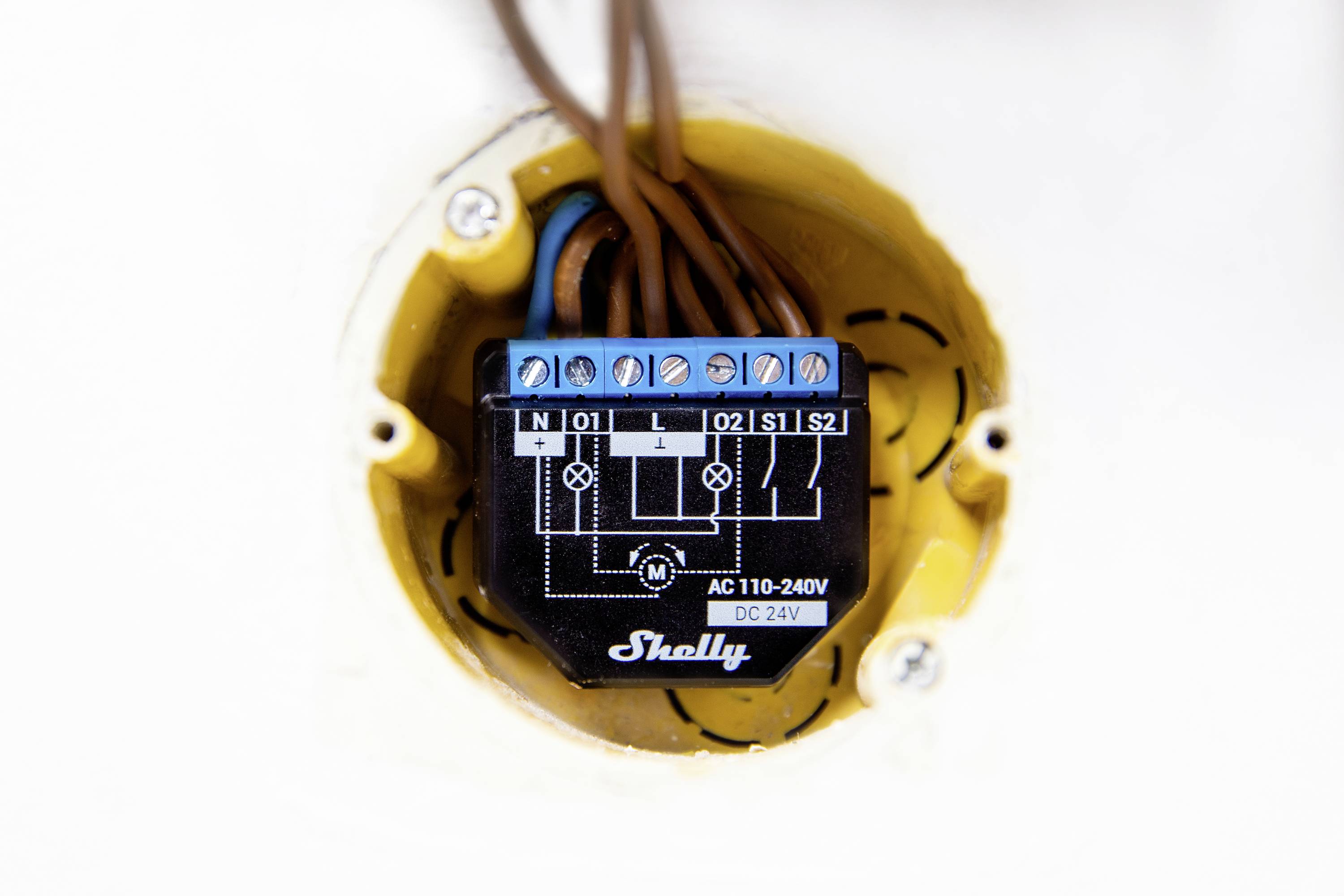 Een blauw-zwarte elektrische aansluiting met het opschrift 'Shelly', spanningsspecificaties en meerdere kabels in een ronde wanddoos.