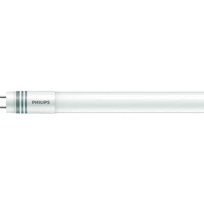 Philips TL-buis met twee metalen pinnen aan één uiteinde, gefotografeerd op een witte achtergrond.