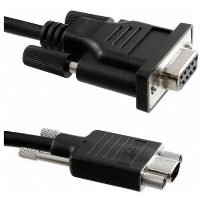 'Een weergave van twee soorten connectoren: een VGA-connector met drie rijen gaten en een S-Video-connector met meerdere pinnen.'