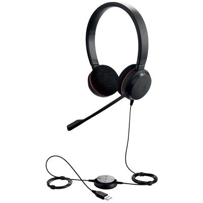 Zwart USB-headset met microfoon, gewatteerde oorkussens en bedienbare besturing op de kabel. Ideaal voor computergebruik.