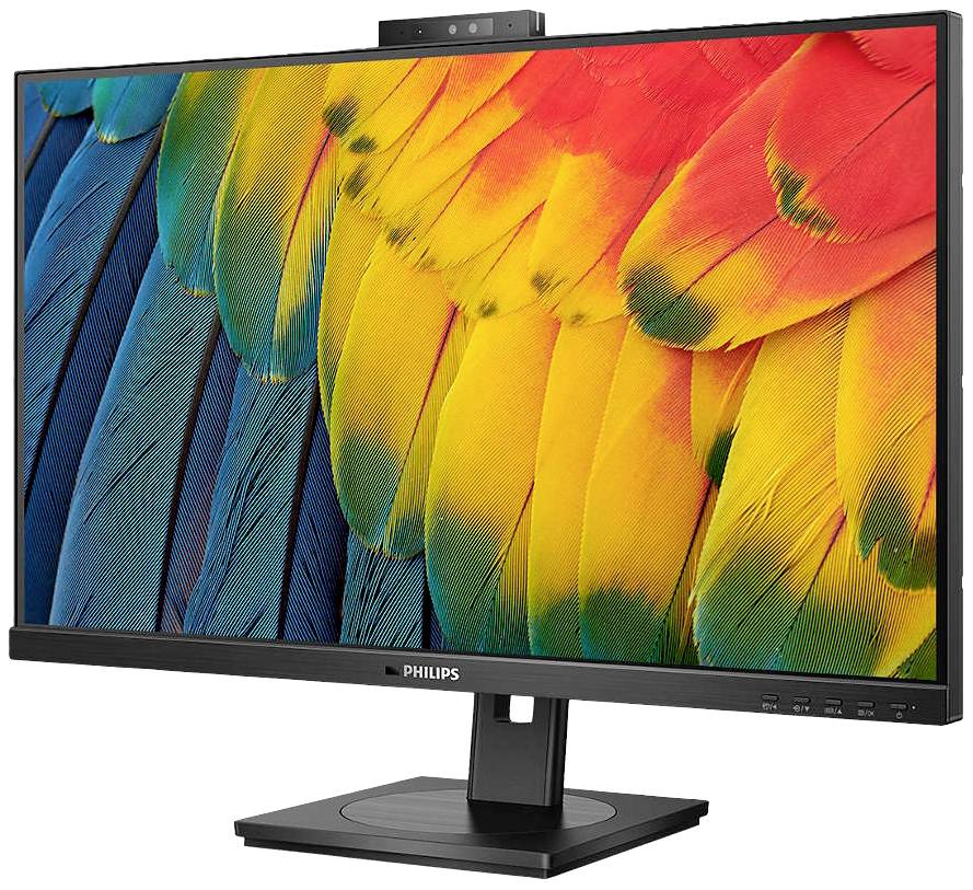 Een computerscherm van Philips toont een levendig beeld van kleurrijke papegaaiveren in blauw, geel en rood.