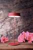 Deko Light Miram 346034 Tafellamp LED LED vast ingebouwd 2.20 W Robijn-rood