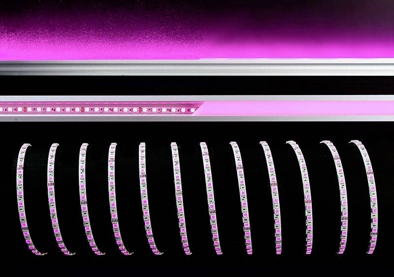 LED-strips in een gebogen configuratie op een zwarte achtergrond met roze-paarse verlichting bovenaan.