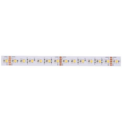 Een LED-strip met meerdere kleine, gelijkmatig gerangschikte oranje en witte LED's op een witte achtergrond.