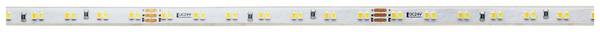 Deko Light  840349 LED-strip Energielabel: G (A - G) Met open kabeleinde 24 V/DC 5000 mm Warmwit, Koudwit  5 m