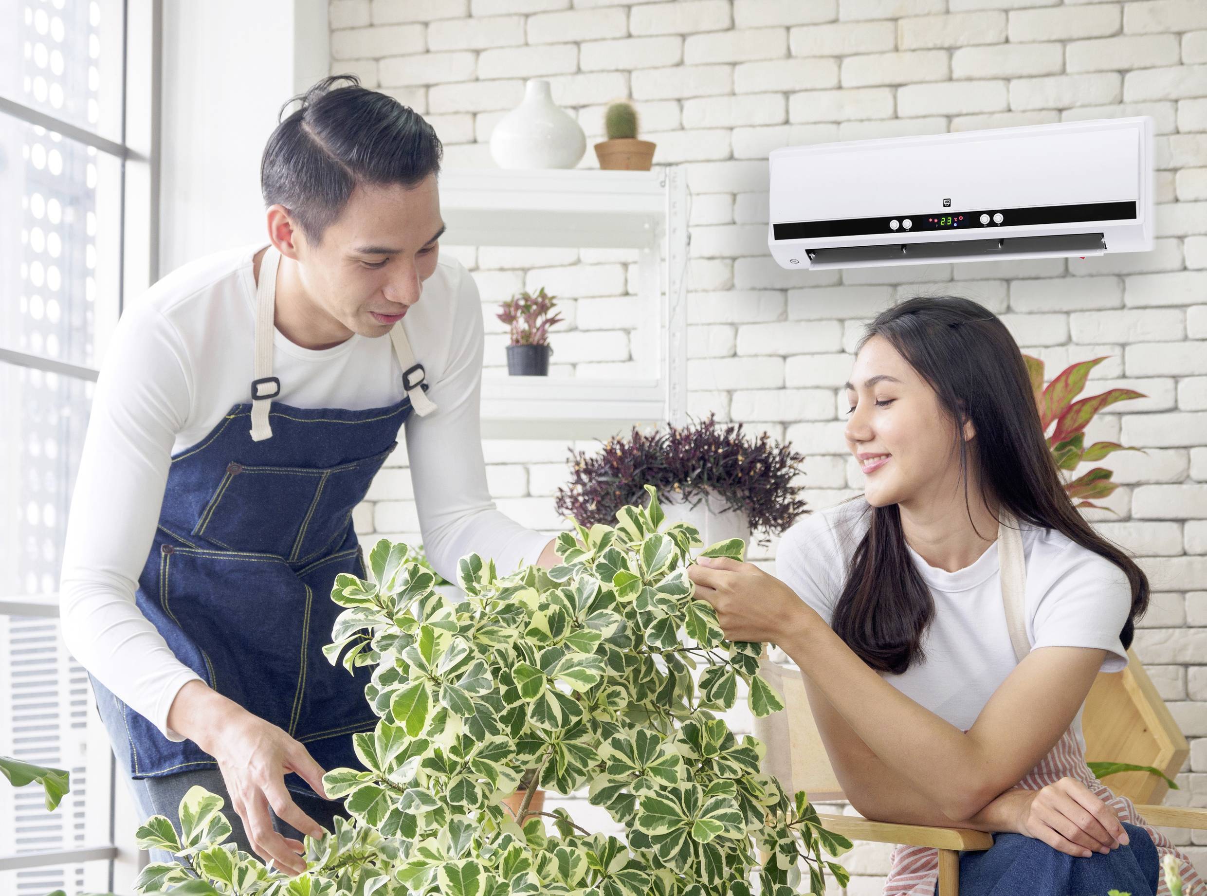 Een vrouw en een man verzorgen samen een grote groene plant in een moderne interieurruimte. Op de achtergrond hangt een airconditioning aan de muur.