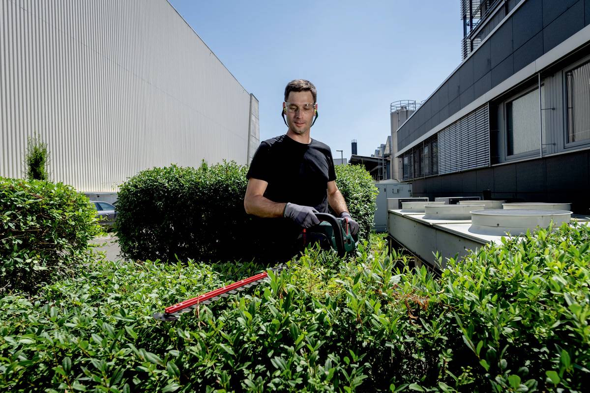 Een persoon knipt met een heggeschaar groen struikgewas voor een gebouw bij zonnig weer.