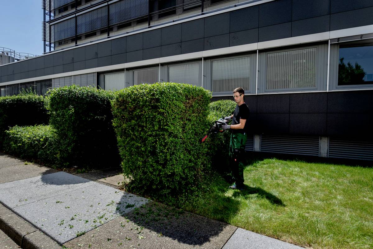 Een tuinman snoeit de heggen met een heggenschaar voor een modern kantoorgebouw. Op de achtergrond zijn kantoorvensters zichtbaar.