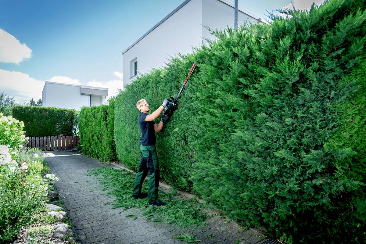 Een man knipt met een elektrische heggenschaar een hoge groene haag voor een modern wit huis.