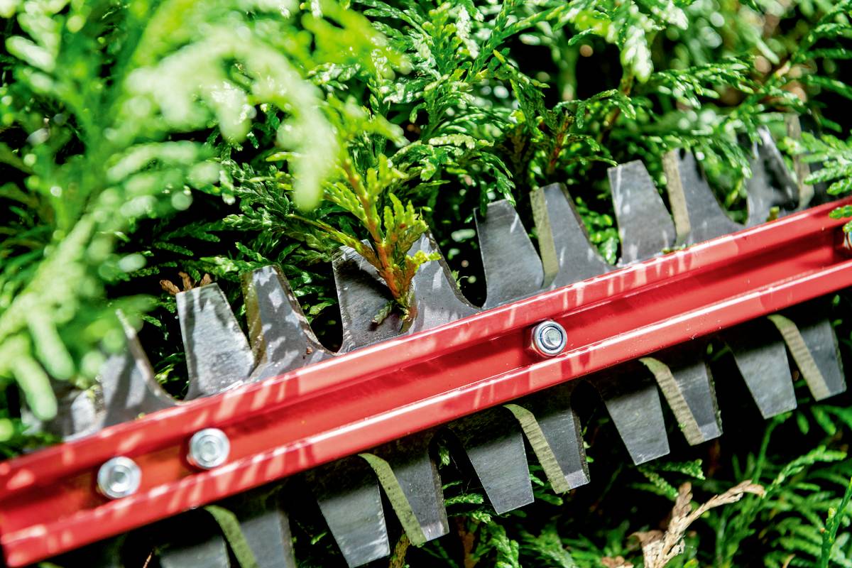 Elektrische heggenschaar knipt groen loof. Close-up van de scherpe messen in actie, die dichte struiken bijknippen.