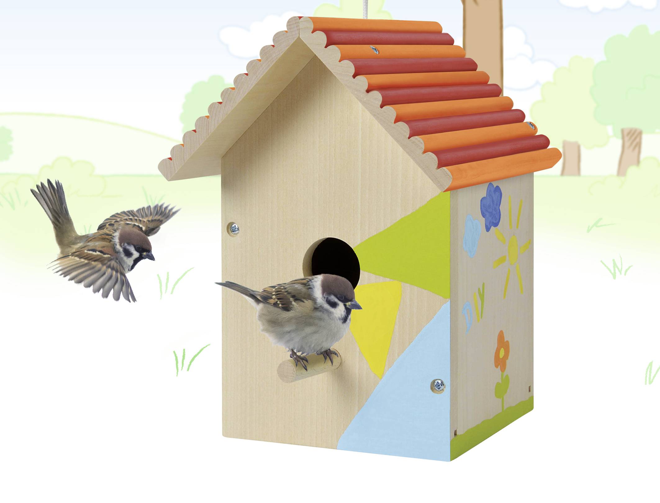 Een houten vogelhuisje met een kleurrijk dak en beschilderde zijkanten, op een weide. Twee mussen vliegen; een van hen zit bij de ingang.