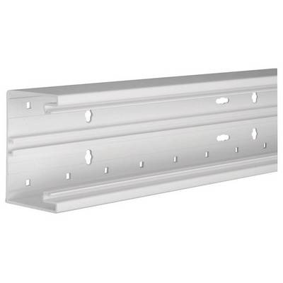 Metalen rail met meerdere rechthoekige en sleutelgatvormige gaten, geschikt voor wandmontage van voorwerpen.