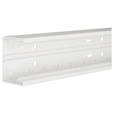 Metalen rail met voorgeboorde gaten voor montagedoeleinden. Hij is robuust en veelzijdig inzetbaar in verschillende constructies.