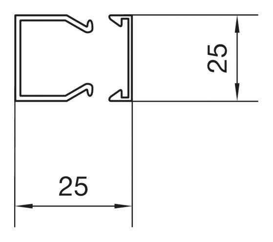 Technische tekening van een profielsnede met afmetingen: breedte 25 mm, hoogte 25 mm.