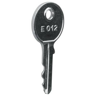 Een enkele metalen sleutel met de inscriptie 'E 012'. De sleutel heeft een rond hoofd met een gat in het midden.