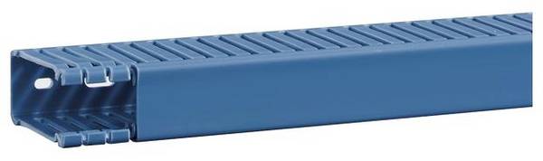 Hager BA6600250BLAUB Kabelgoot  (l x b x h) 2 m x 30 mm x 64 mm 2 m Blauw