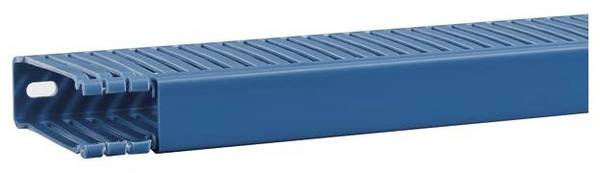 Hager BA6800250BLAUB Kabelgoot  (l x b x h) 2 m x 25 mm x 84 mm 2 m Blauw