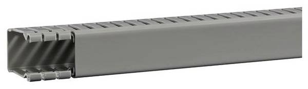 Hager BA64002507030O Kabelgoot  (l x b x h) 2 m x 31 mm x 43 mm 2 m Grijs
