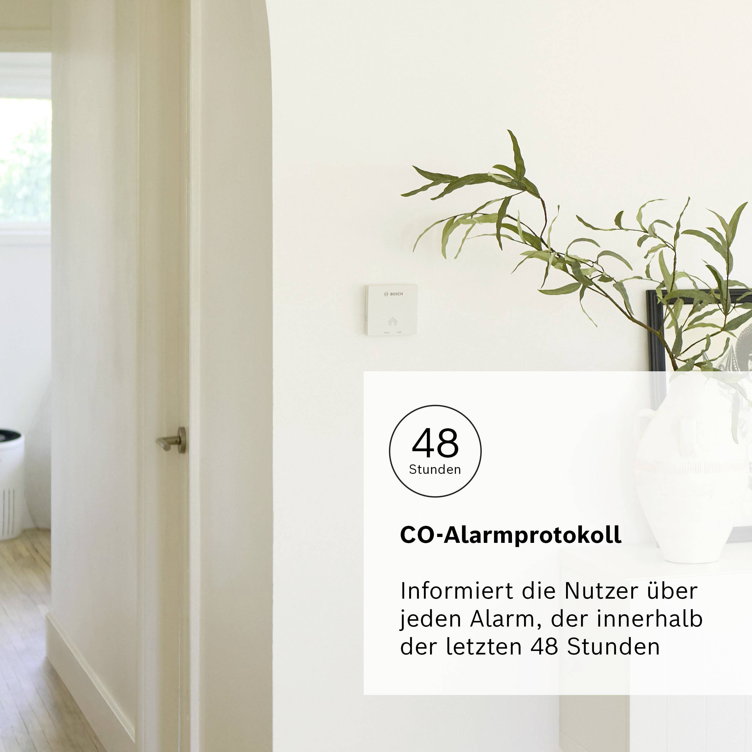 Een vaas met planten staat naast een CO-melder aan de muur. Tekst benadrukt het belang van een CO-alarmprotocol binnen 48 uur.