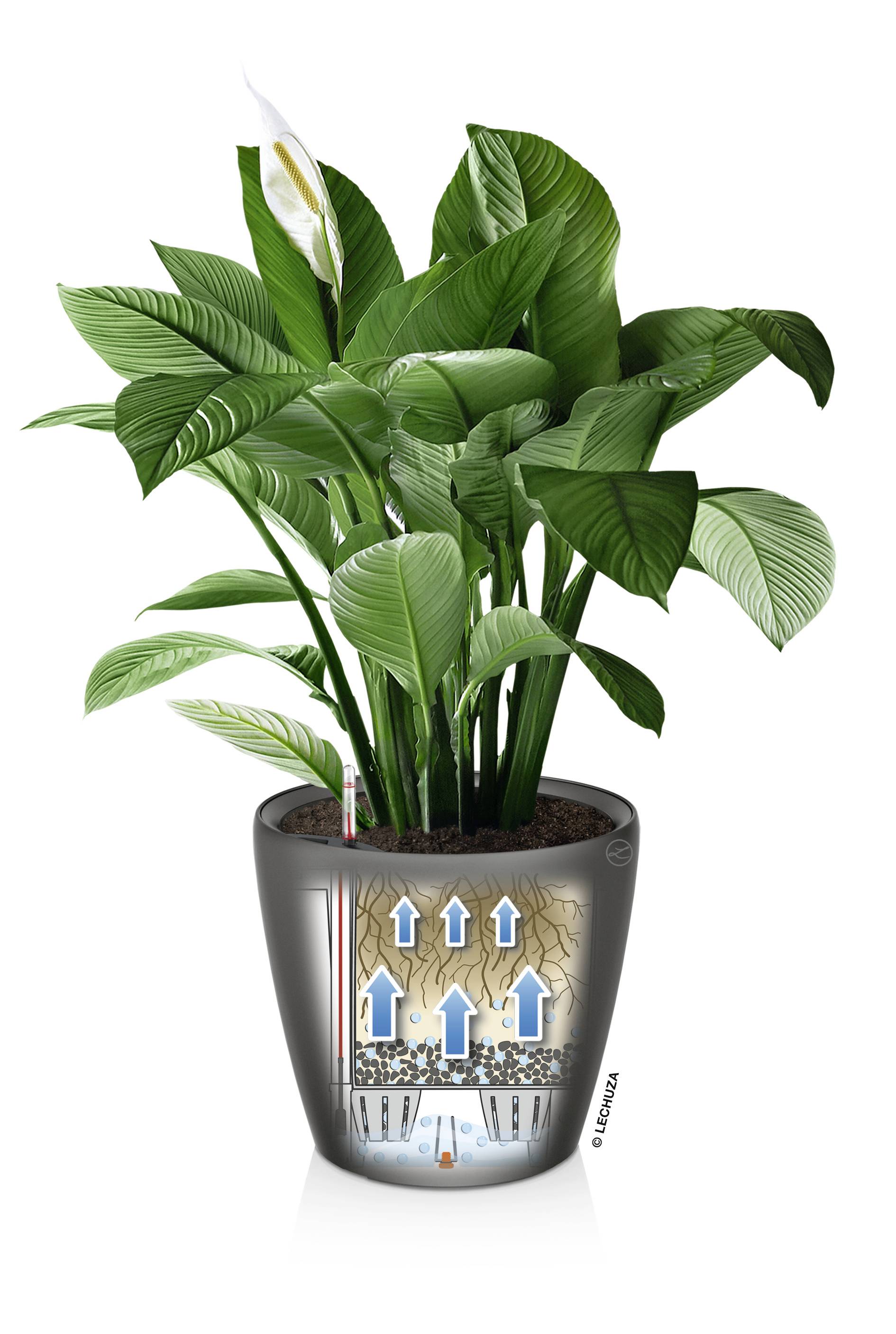 LECHUZA Classico Premium Bloempot - Compleet Set - Metallic Antraciet - Ø 21 x H20 cm - 3 L-2