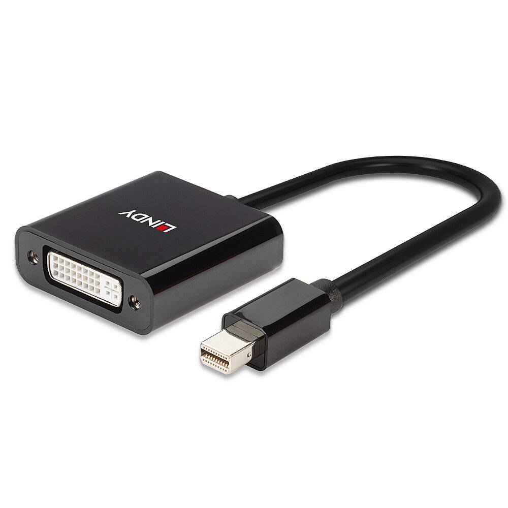 'Zwarte adapterkabel met DVI- en Mini DisplayPort-aansluitingen. Verbindt apparaten met verschillende video-interfaces.'