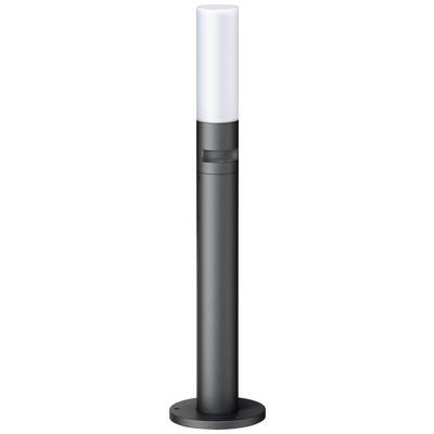 Zwarte, slanke lichtmast met wit verlichtingsgedeelte bovenaan. Geschikt voor buitenverlichting en modern design.