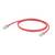 Rood Ethernet-kabel met RJ45-connectoren aan beide uiteinden, op een witte achtergrond, klaar om netwerkapparatuur te verbinden.