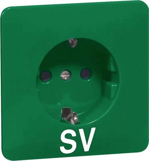 Groene stopcontact met de aanduiding 'SV'.