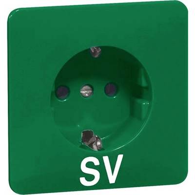 Groene stopcontact met de aanduiding 'SV', geschikt voor speciale toepassingen of netwerken.