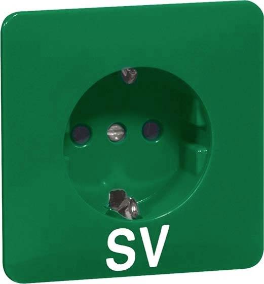 Groene stopcontact met de opschrift 'SV'.