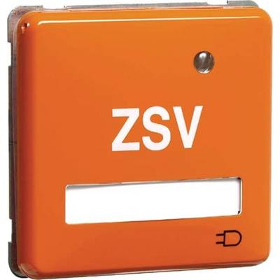 Een oranje schakelaar met het opschrift 'ZSV' en een stroomsymbool rechtsonder.