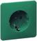 Groene wandcontactdoos met twee contactpunten en aardingspen.