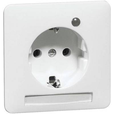 Witte, Europese stopcontact gemonteerd aan een muur, met randaarde en schroefbevestiging.