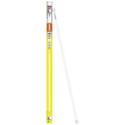 Osram LED-buis in originele verpakking. Verpakking is geel met gedrukte productdetails en energie-informatie.