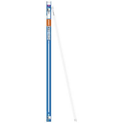 Tl-buis in een lange, smalle blauwe verpakking met 'Osram'-opdruk en vermogensgegevens.