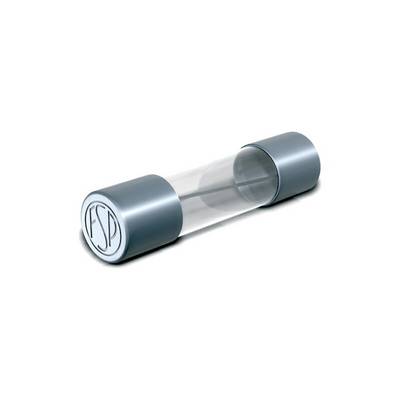 Cilindrische glazen zekering met metalen doppen aan beide uiteinden, met daartussen een metalen geleider. Geschikt voor elektronische schakelingen.