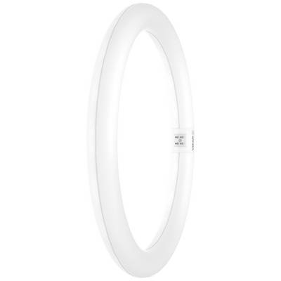 Een ronde TL-buis in het wit, verticaal rechtop gezet. De fitting en verbindingspunt zijn zichtbaar nabij de onderste rand.