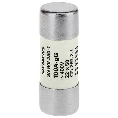 Een cilindrische zekering van Siemens met de opdruk '100A-gG ~400V', modelnummer 3NW6 230-1, vervaardigd uit metaal en keramiek.