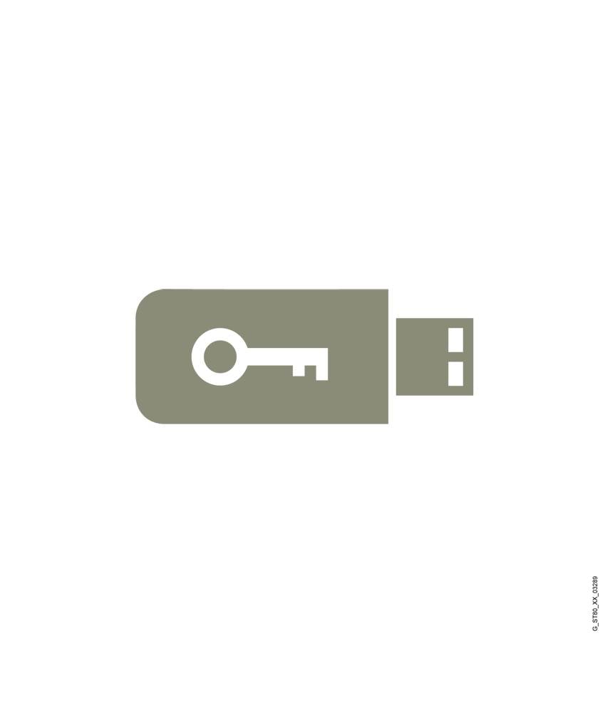Grafiek van een USB-stick met een sleutelsymbool dat gegevensbeveiliging of versleutelde opslag voorstelt.