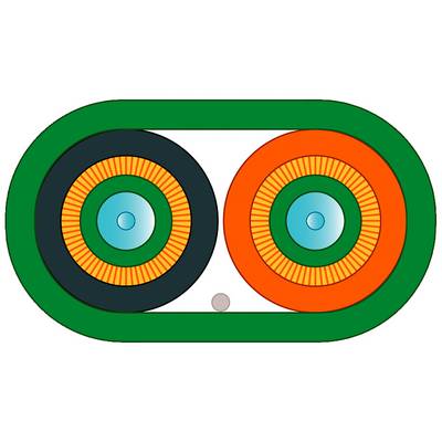 Een diagram toont twee naast elkaar liggende cirkels, één zwart en één oranje, beide met blauwe centra en een groene rand.