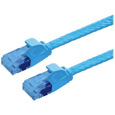 Twee blauwe Ethernet-kabels naast elkaar.