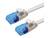Twee witte Ethernet-kabels met blauwe connectoren. Deze worden vaak gebruikt voor netwerkverbindingen in computernetwerken.