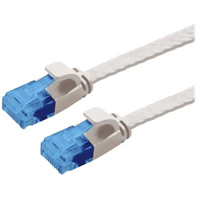 'Twee witte Ethernet-kabels met blauwe connectoren, die worden gebruikt voor netwerkverbindingen.'