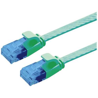 Twee Cat6-netwerkkabels met blauwe connectoren en groene doppen, naast elkaar gelegd. Ze worden gebruikt voor gegevensoverdracht.