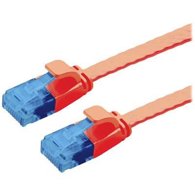Twee oranje Ethernet-kabels met blauwe connectoren, naast elkaar gelegd, klaar voor netwerkverbinding.