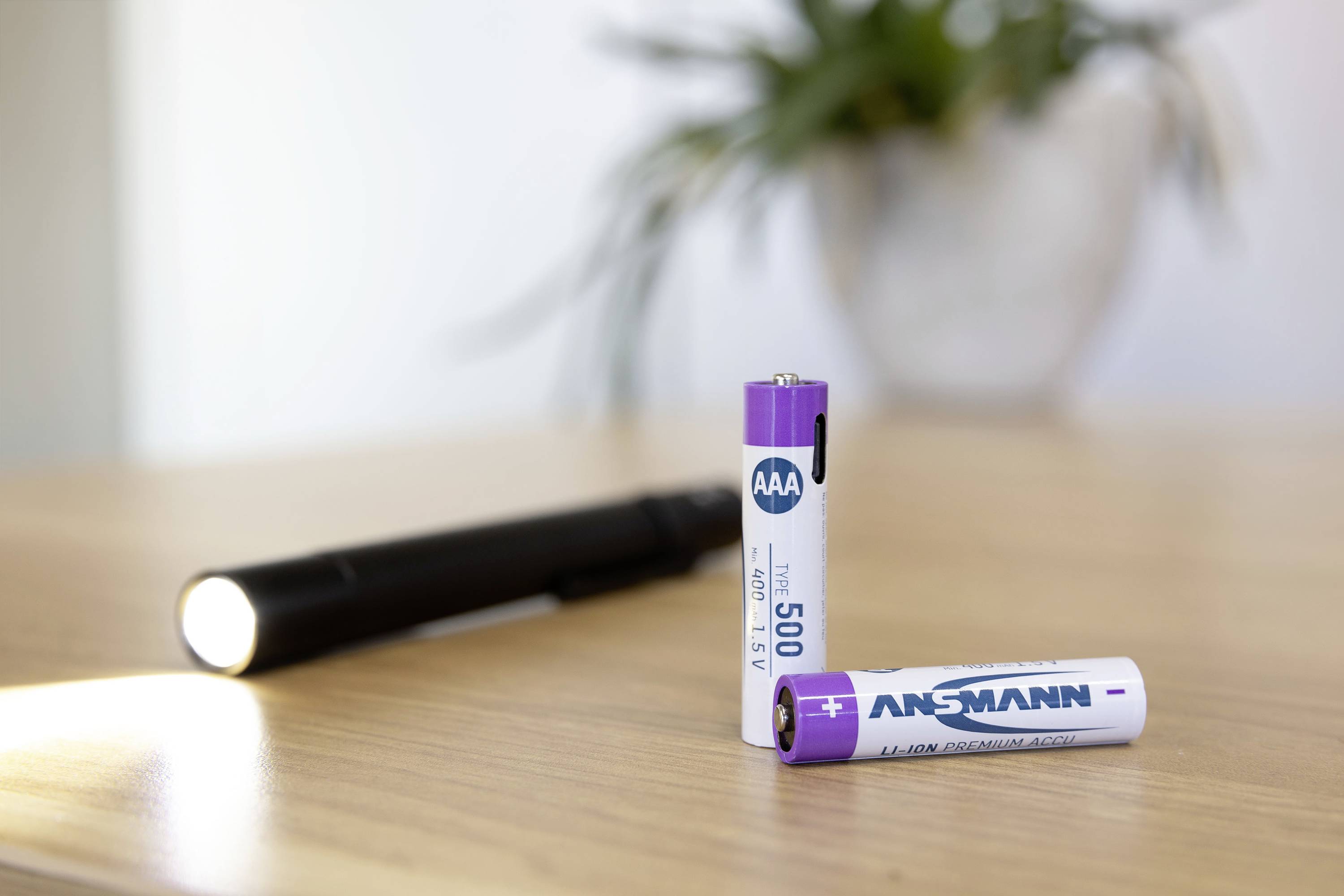 Twee AAA-batterijen, verticaal staand op een tafel, naast een zaklamp, met een onscherpe plant op de achtergrond.