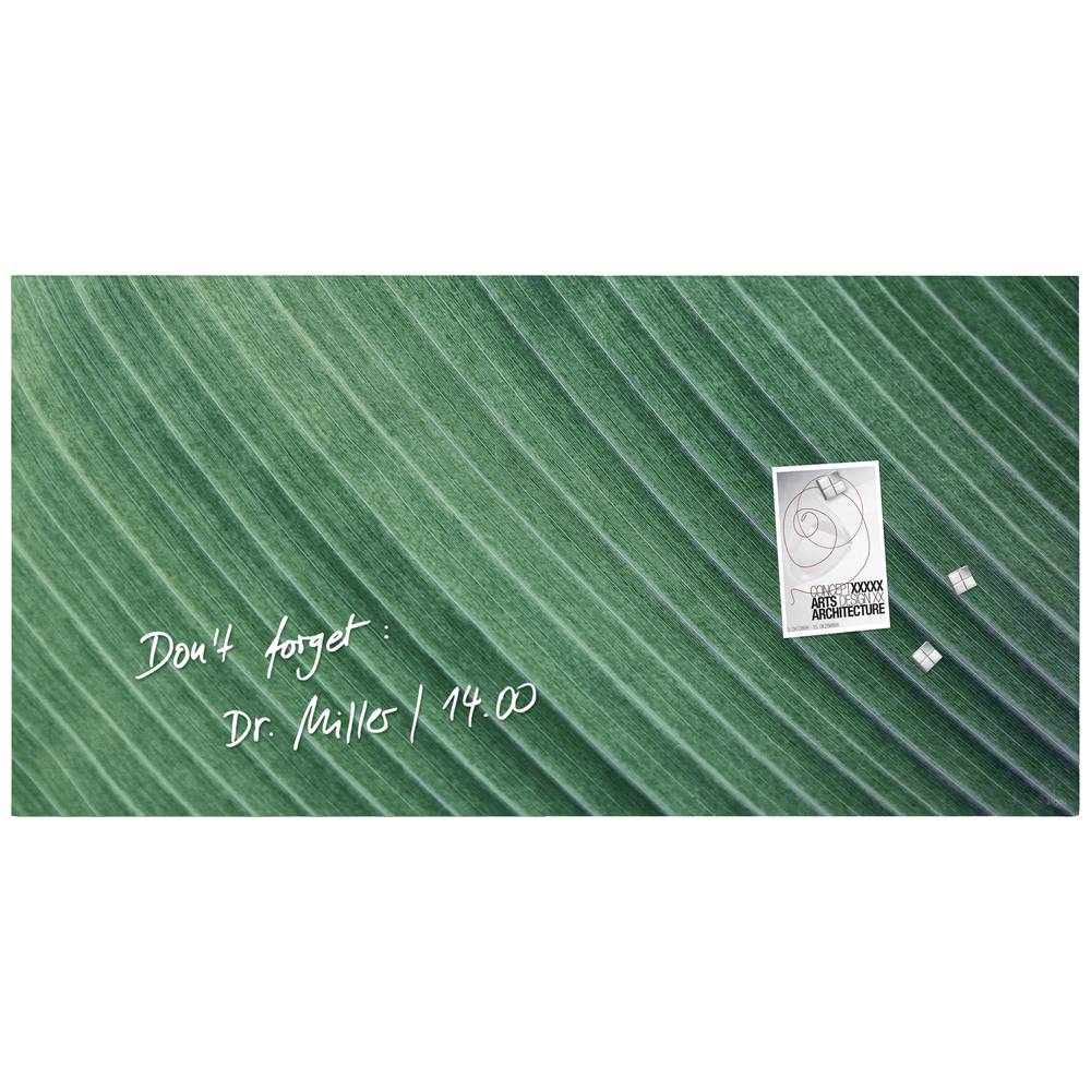 Sigel glasmagneetbord - Artverum - 91x46cm - groen - Palm Leaf - SI-GL371